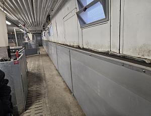 Rekonstrukce haly chovu prasat